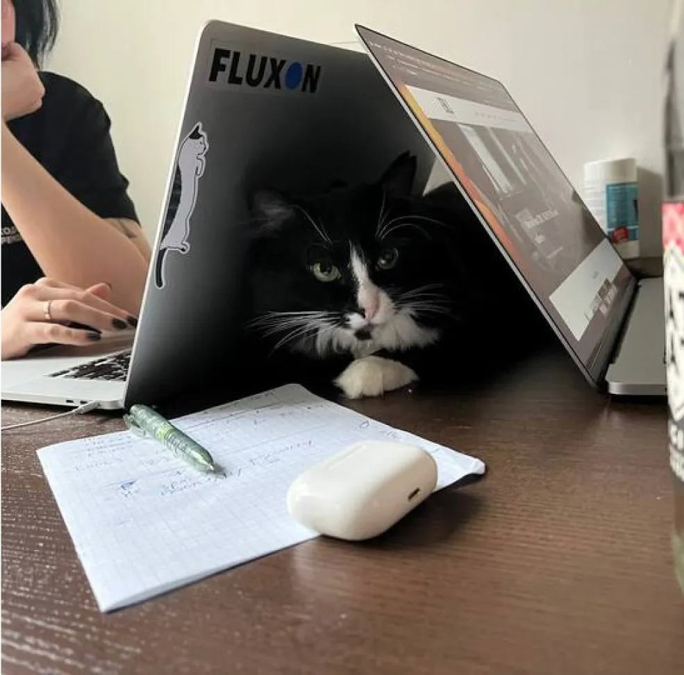 Fluxon team with cat